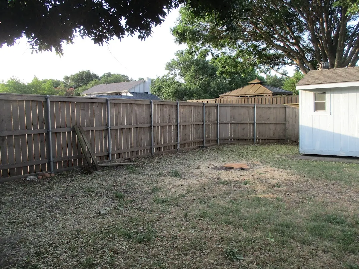 Cleared yard after professional tree removal in Bossier City